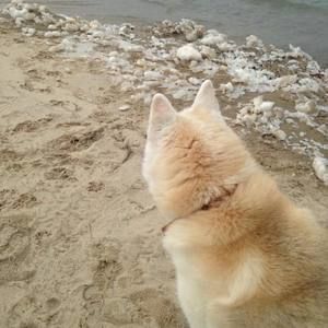 Meet your Posher, Kris